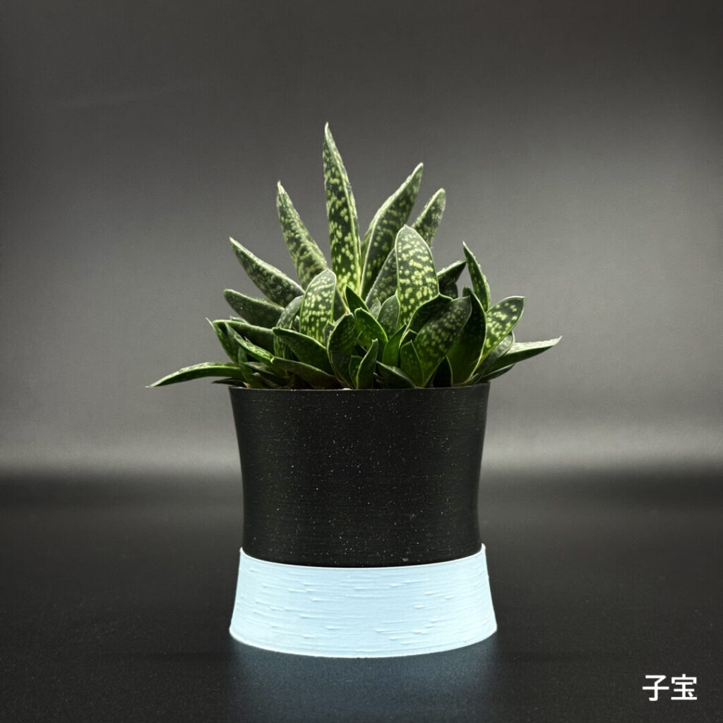 item_tanikuA